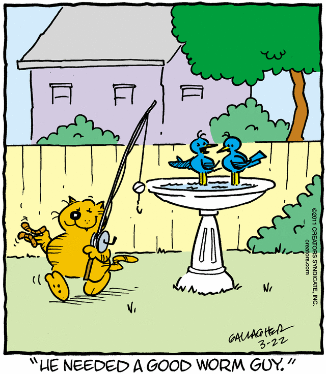 heathcliff